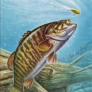 Meet your Posher, Brett